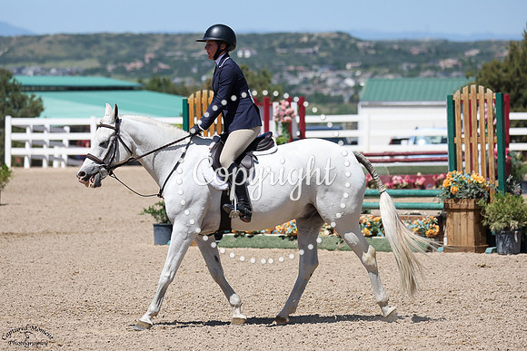 Sugarbrook_The_Hobbitt_(1450)_20250621_0764