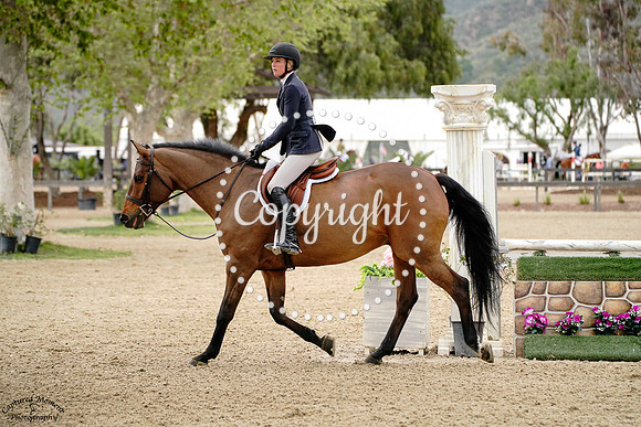 Con_Figaro_(308)_20250416_1914