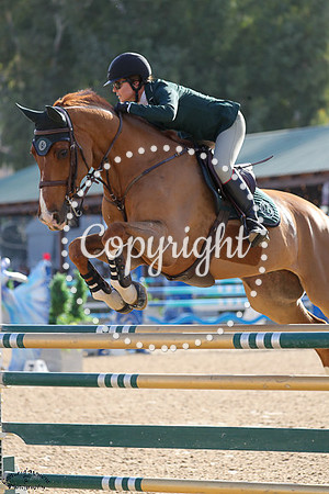 Aviator_Z_(655)_20241018_3403