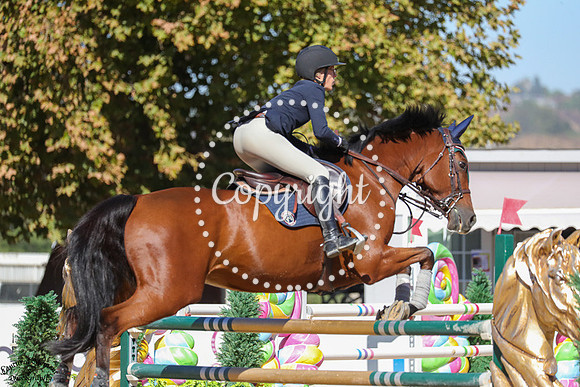 Super_7_(726)_20241010_6452