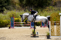 Pandora_Vant_Buxushof_(475)_20250718_2146