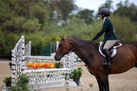 Christopher_Robin_(186)_20250717_1770