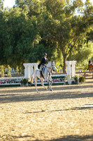 Clarino_(1042)_20241011_1903