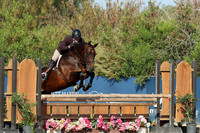 Paperboy_(820)_20250717_3365
