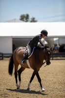 Ravenswood_(206)_20250716_0910