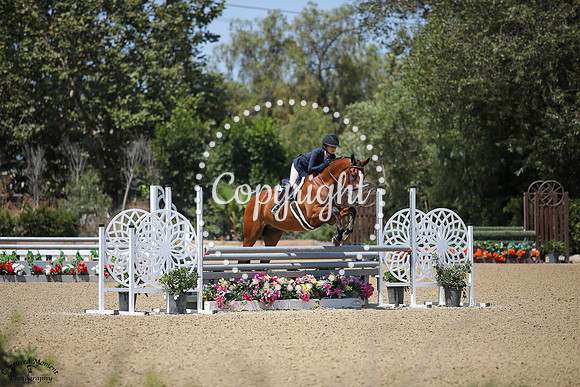 Chaperone_(494)_20250717_1480
