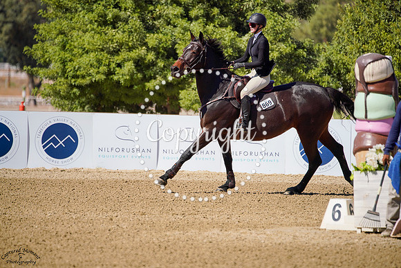 Cornet_Sapphire_(869)_20241011_0556