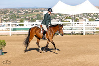 Woodlands_Qt_Pie_(524)_20240904_0010