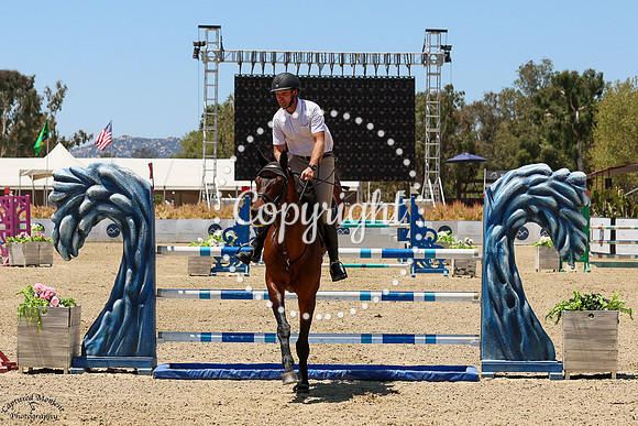 Bull_Runs_David_(436)_20250522_2104