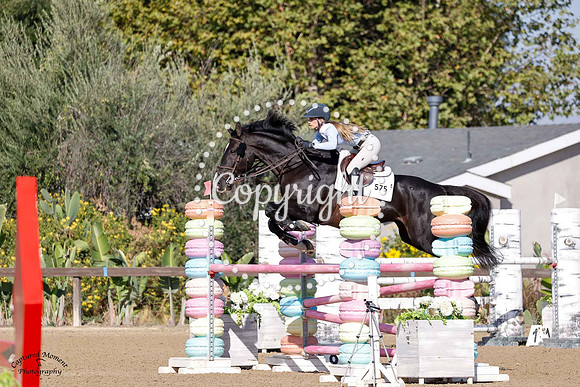 Checkered_Past_(575)_20241002_0383