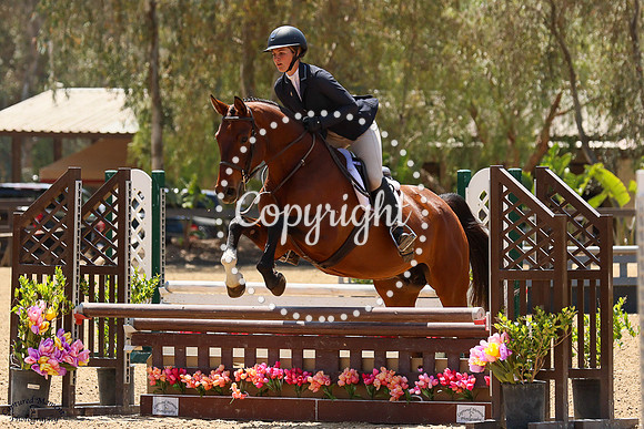 Sweet_Symphony_(863)_20250423_0871