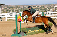 Woodlands_Qt_Pie_(524)_20240904_0060