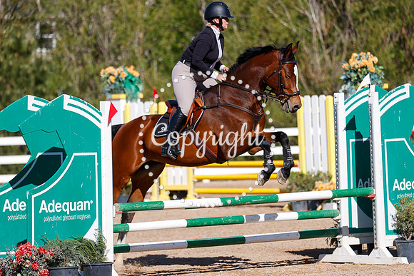 Calvada_Oder_Calypso_Ii_(572)_20250522_3052