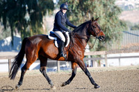 Sandor_Z_(252)_20241011_7580