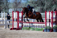 Sir_Duke_(279)_20250516_1110