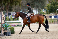 Twain_(845)_20250427_6650
