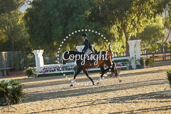 Qoriolis_Effect_Scf_(1167)_20241011_1664