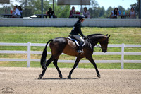 Visconti_(1488)_20250719_1327