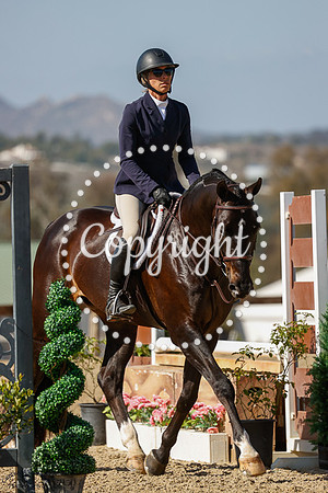 Victor_(291)_20250423_2080