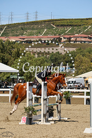 Andiamo_(853)_20250410_0866