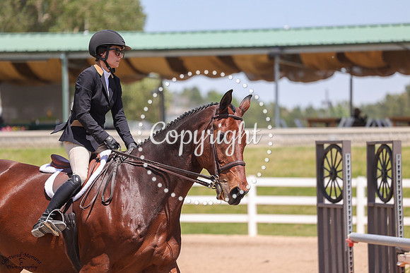 Ntec_Labros_(1497)_20250620_0005