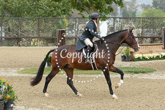 Astaire_(864)_20250606_0443