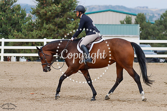 Cabalitos_Valentine_(489)_20250716_1464