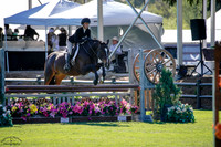 LIONESS_(110)_20250405_5175