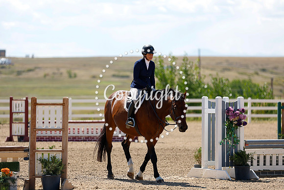 Zambesi_(1291)_20240911_0072