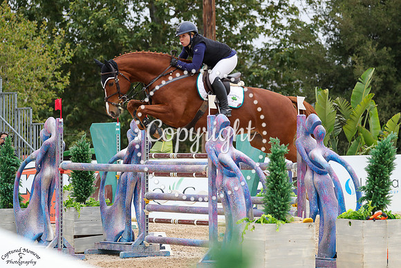 Nova_(225)_20250525_4965