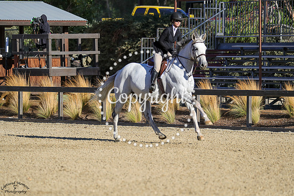 Steel_The_Show_(1203)_20241010_5346