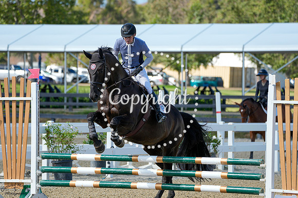Oatfield_Diamond_(1151)_20250723_0276