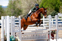 Cazador_Wh_(495)_20250515_4147