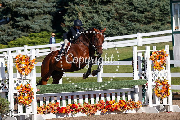 Ntec_Labros_(783)_20240906_1258