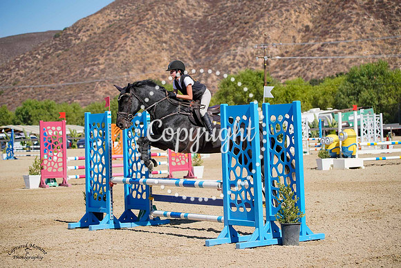 Cascade_D_Amour_(761)_20241010_5374