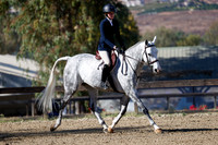 Chippetto_(680)_20241011_0432