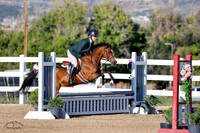 Woodlands_Qt_Pie_(524)_20240904_0104