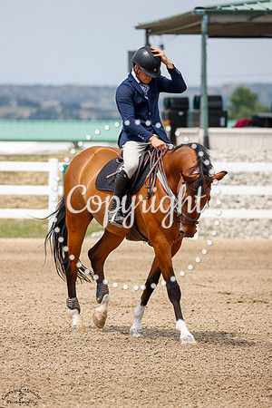 Chosen_(969)_20250716_1939