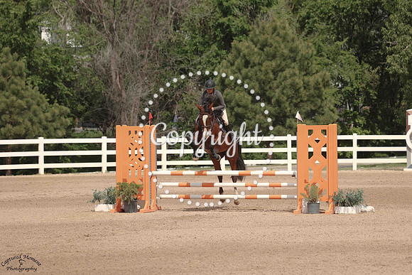 Joy_Luck_Tf_(1293)_20250612_1498