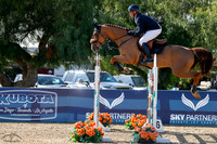 INDIGO_BLUE_(301)_20250507_0308