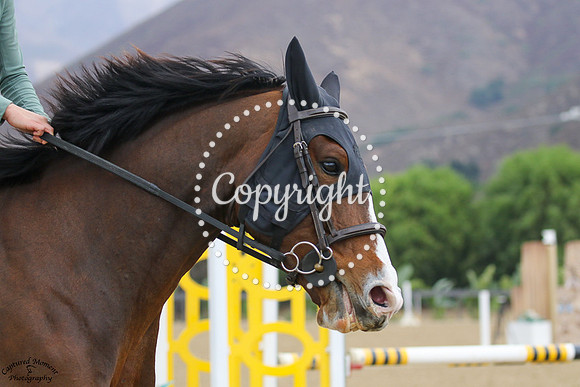 Capris_(1688)_20241017_0210