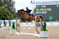 Full_Star_Du_Park_(820)_20250426_0291