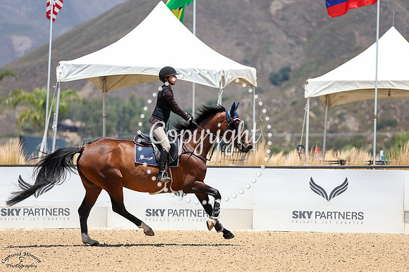 Tippy_Z_(552)_20250605_0652
