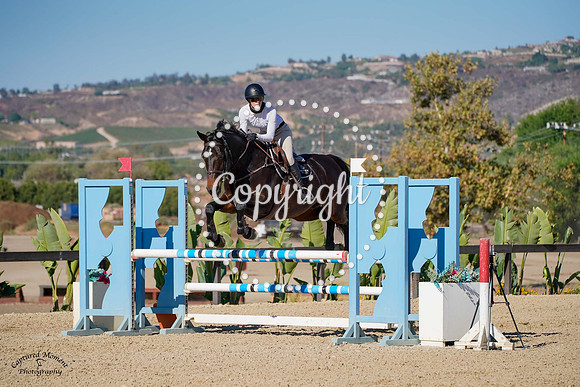 Cornet_Sapphire_(869)_20241010_4229