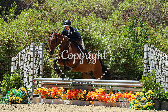 F_D_F_Duke_(1267)_20250725_3991