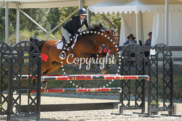Legion_Of_Escus_Z_(308)_20250717_0731