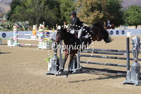 Kat_Walk_C_(1331)_20241016_0804