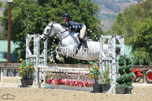 Reve_De_Cinzento_(750)_20250604_8132