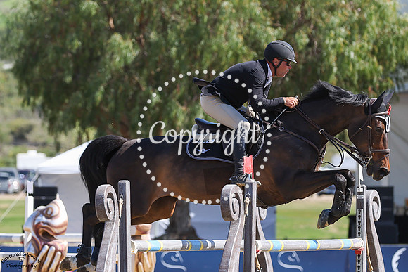 Kayenne_Z_(869)_20250409_1479