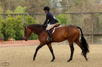 Twain_(845)_20250426_4597